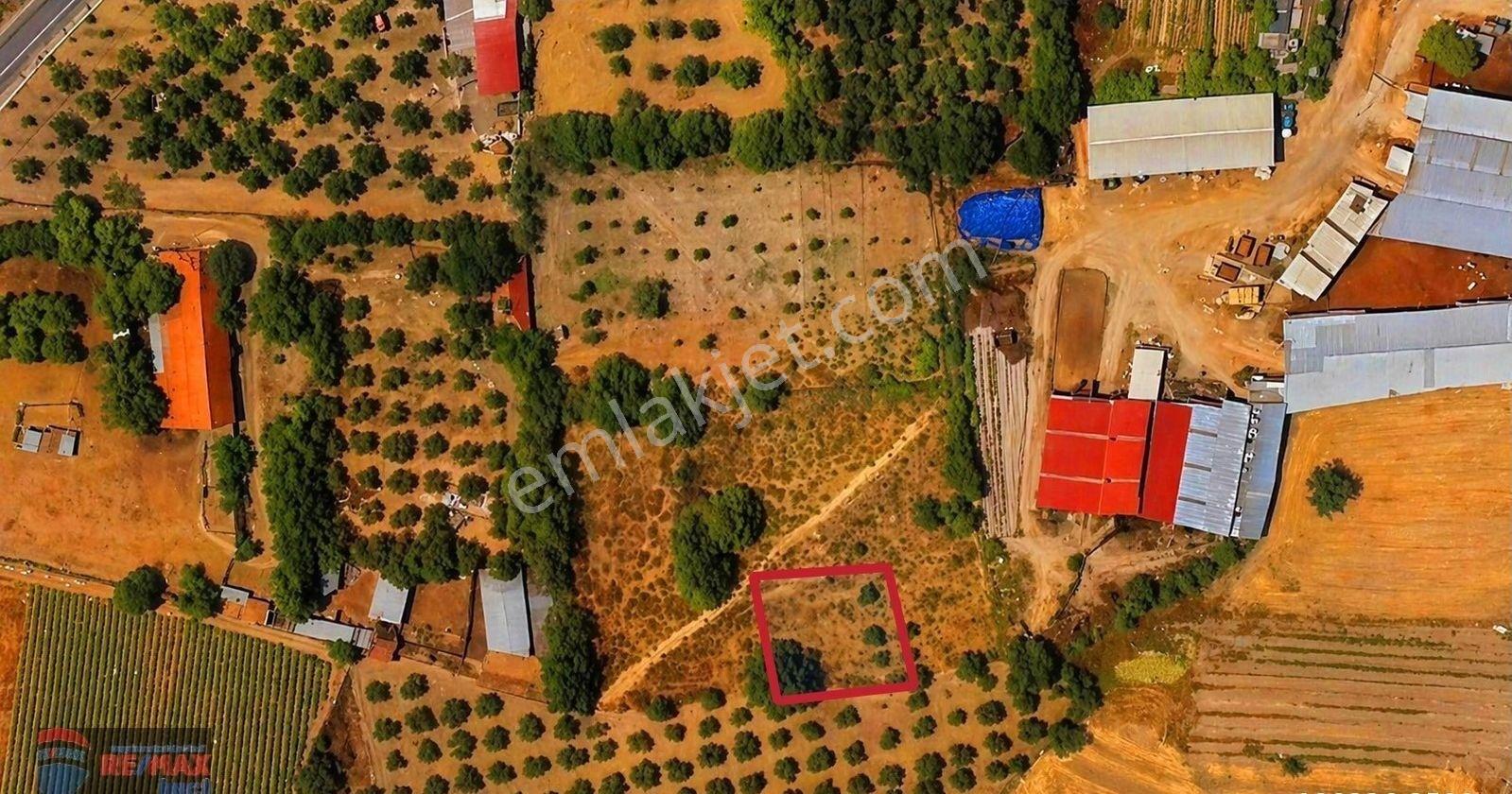 Re/max İnci'den Bigadiç Çekirdekli Mah. Satılık Bağ&bahçe - Görsel 10