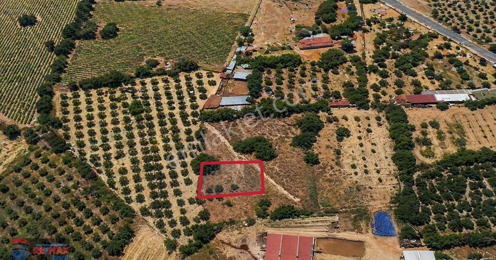 Re/max İnci'den Bigadiç Çekirdekli Mah. Satılık Bağ&bahçe - Görsel 7