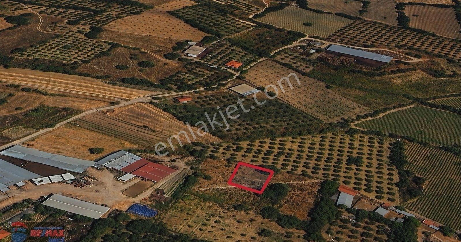 Re/max İnci'den Bigadiç Çekirdekli Mah. Satılık Bağ&bahçe - Görsel 17