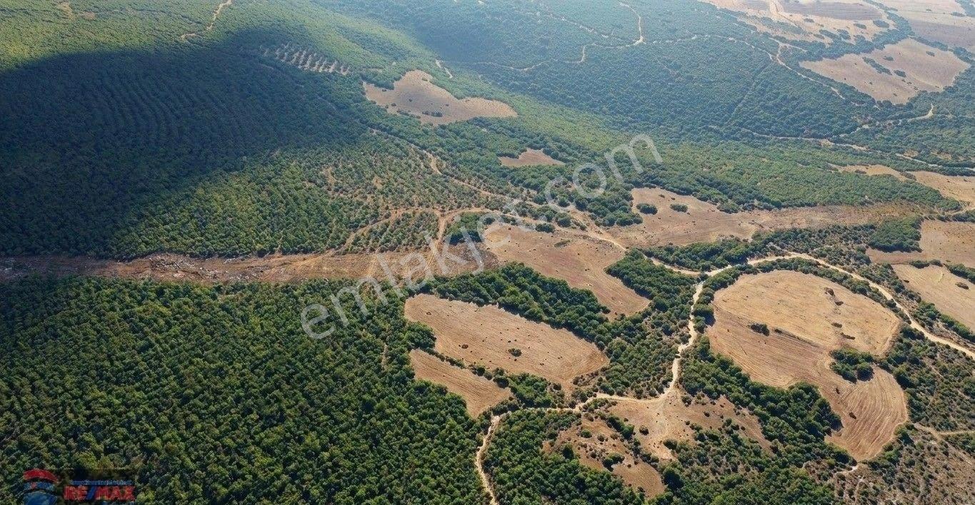 Re/max İnci'den Balya Çakalar'da Doğa İçi Satılık 4.022m² Tarla - Görsel 39