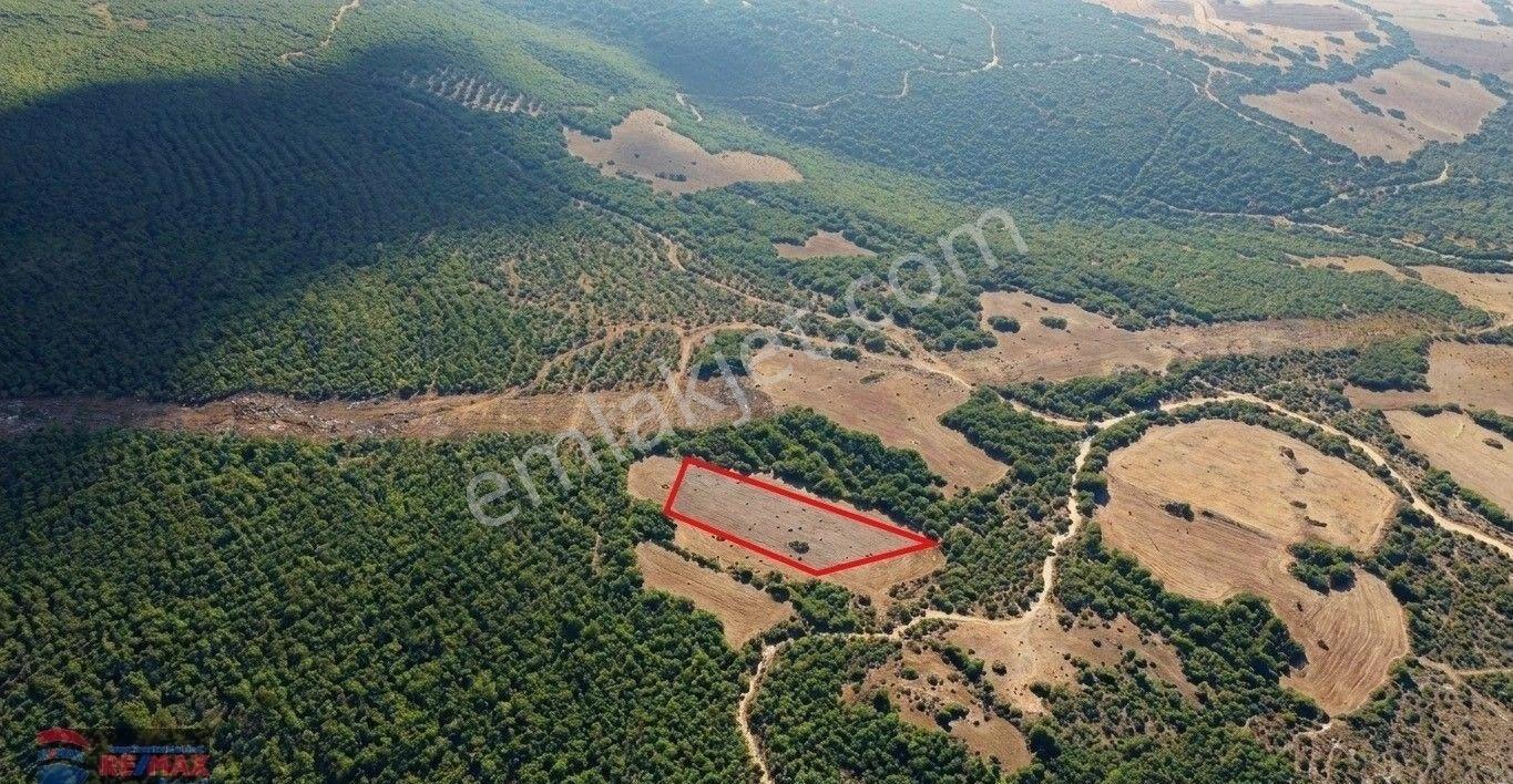 Re/max İnci'den Balya Çakalar'da Doğa İçi Satılık 4.022m² Tarla - Görsel 35