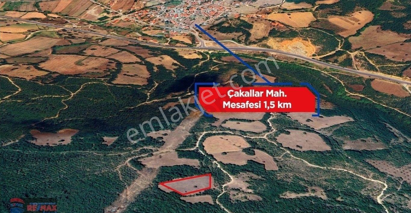 Re/max İnci'den Balya Çakalar'da Doğa İçi Satılık 4.022m² Tarla - Görsel 6