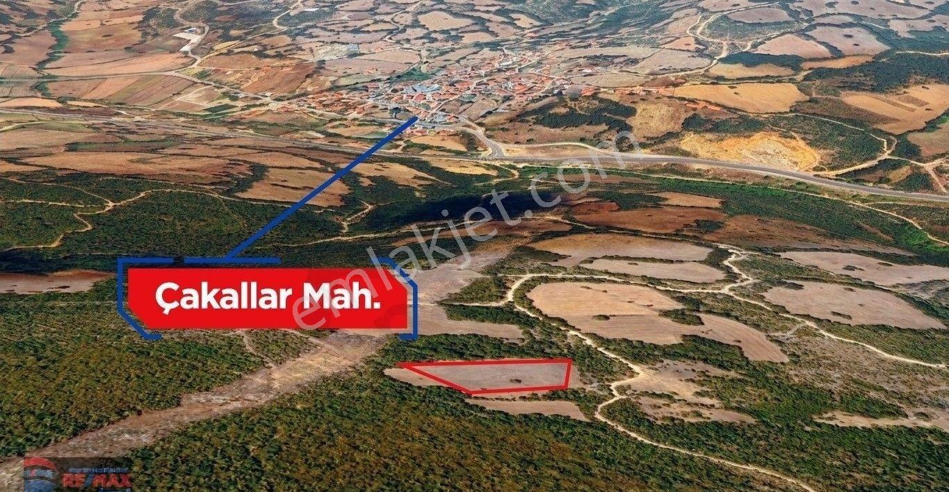Re/max İnci'den Balya Çakalar'da Doğa İçi Satılık 4.022m² Tarla - Görsel 7