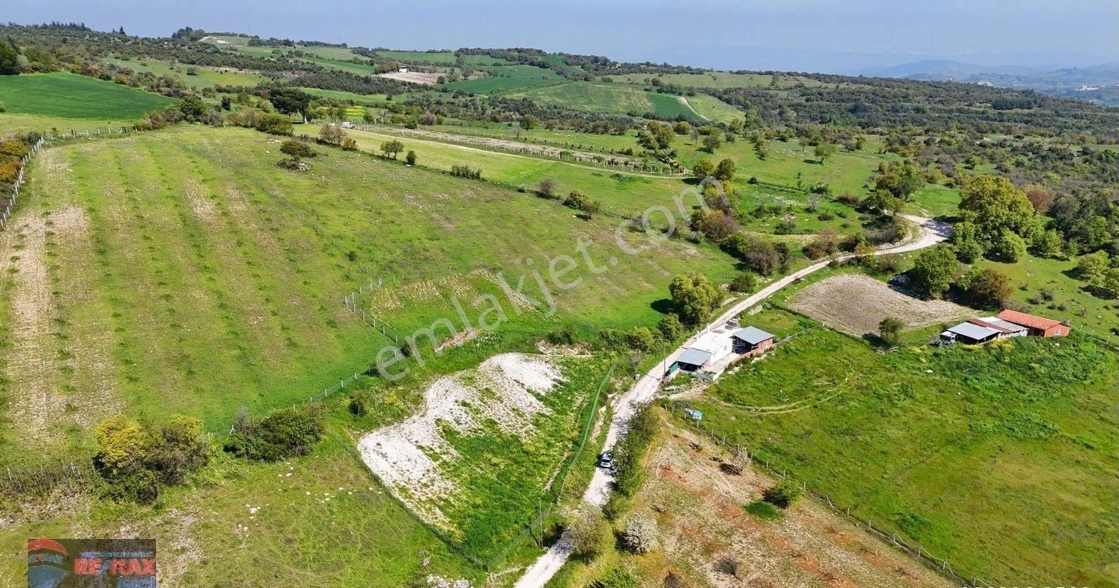 Re/max İnci'den Altıeylül Türkali Mah. Satılık 2.609m² Tarla - Görsel 8