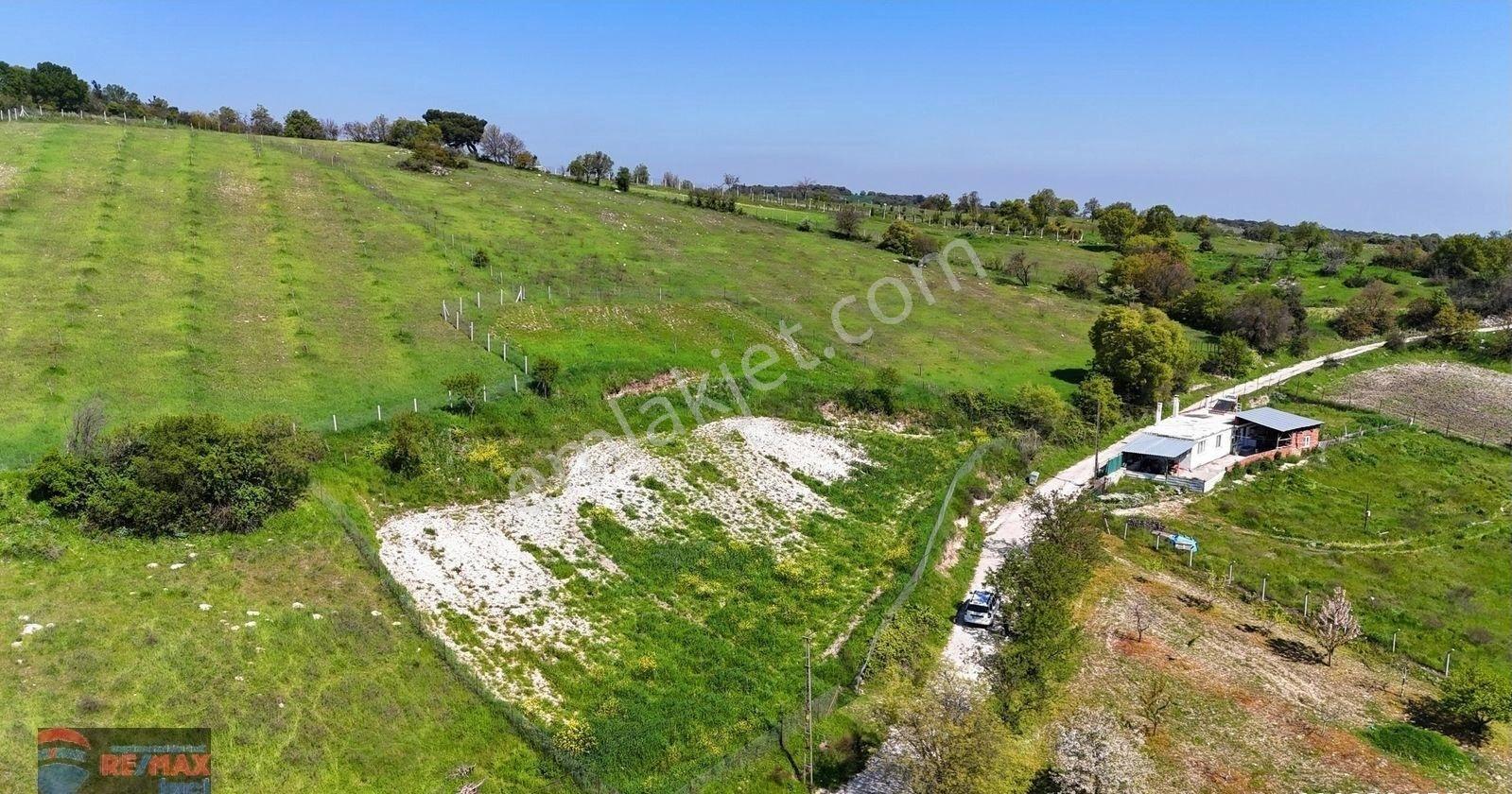 Re/max İnci'den Altıeylül Türkali Mah. Satılık 2.609m² Tarla