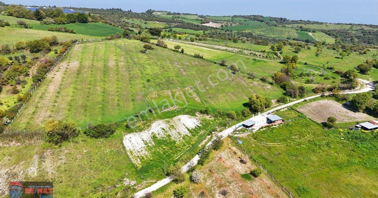 Re/max İnci'den Altıeylül Türkali Mah. Satılık 2.609m² Tarla - Görsel 27