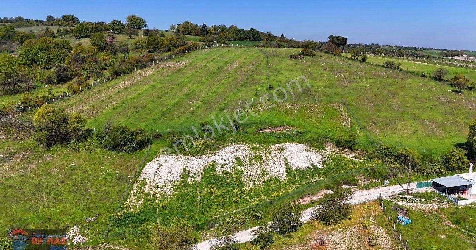 Re/max İnci'den Altıeylül Türkali Mah. Satılık 2.609m² Tarla - Görsel 44