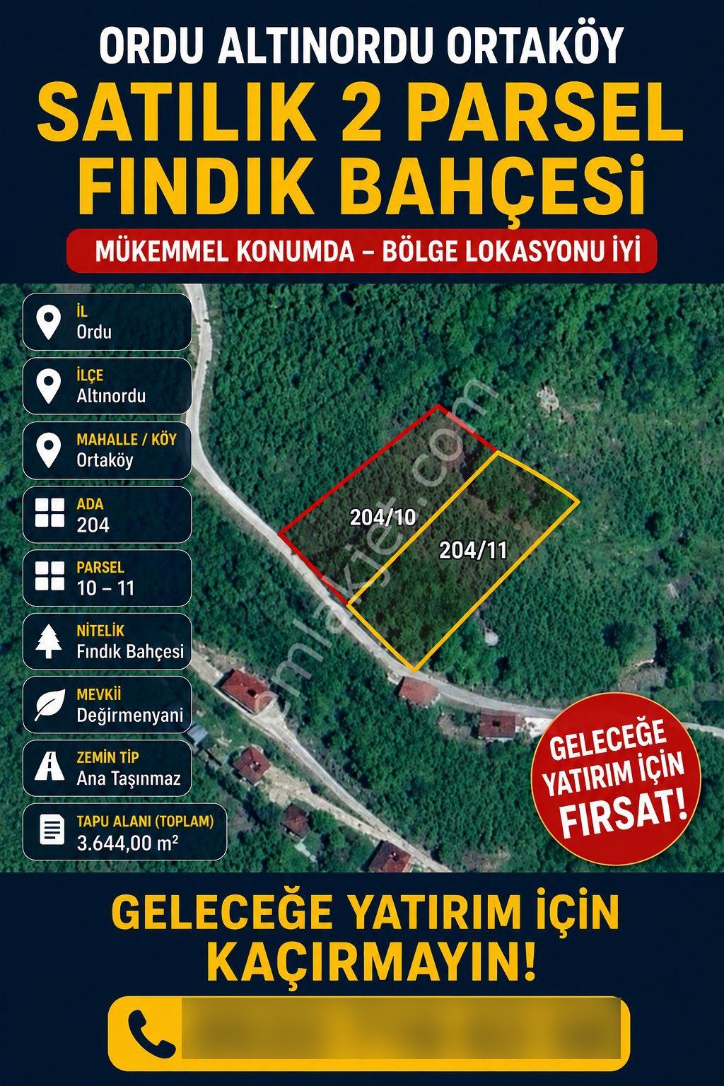 Sevgi Emlaktan Satılık Fındık Bahçesi