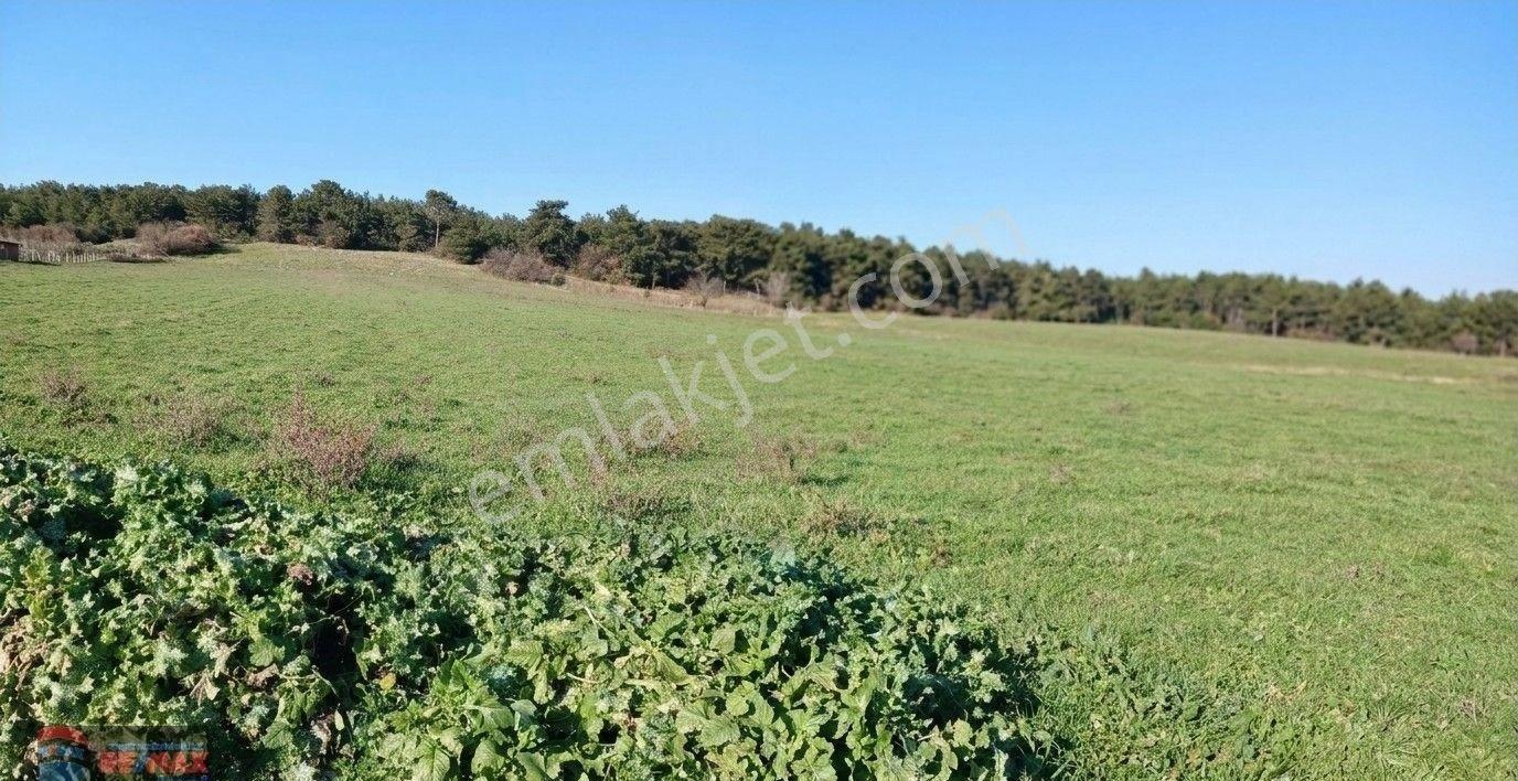 Re/max İnci'den Savaştepe İstiklal Mah. Satılık 18.382 M² Tarla - Görsel 10