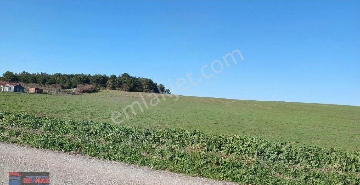 Re/max İnci'den Savaştepe İstiklal Mah. Satılık 18.382 M² Tarla - Görsel 14