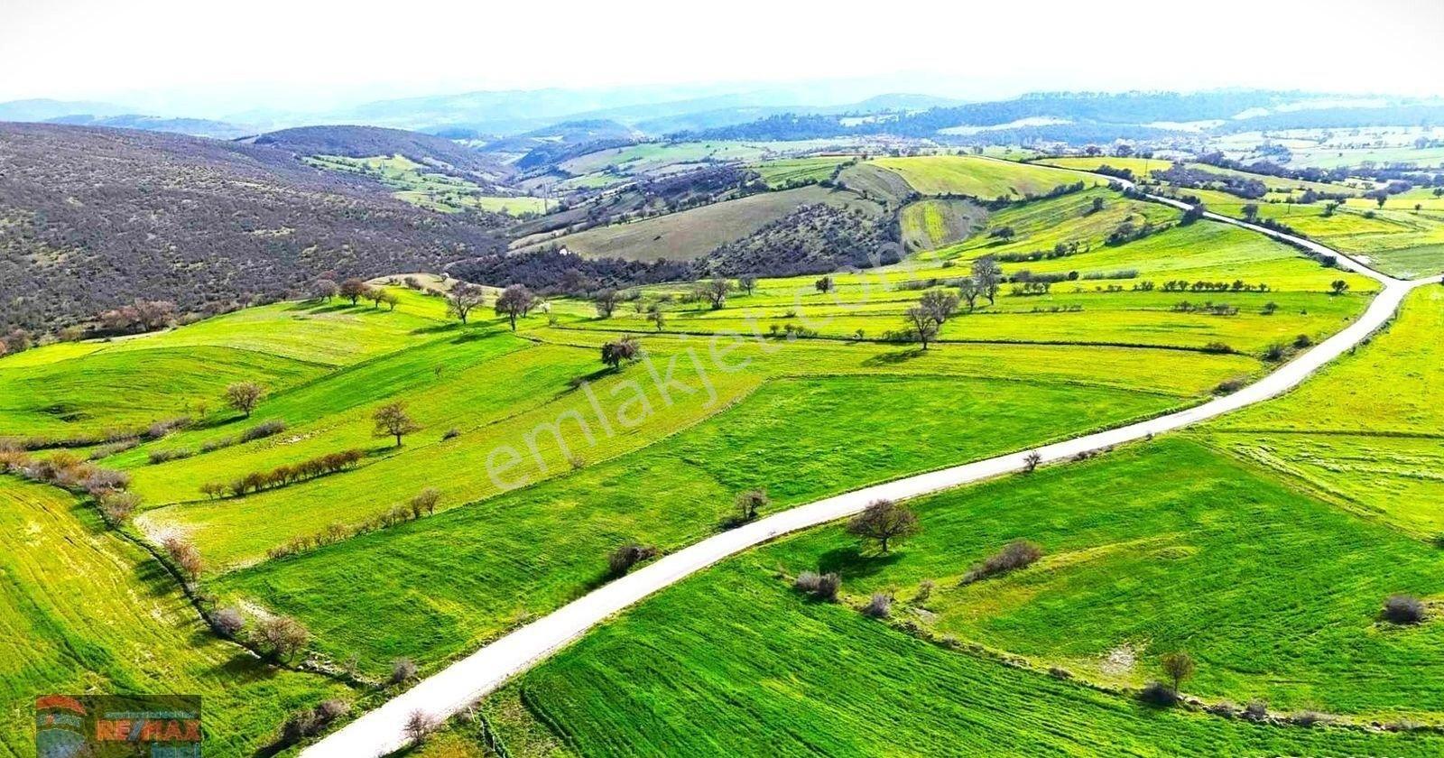 Re/max İnci'den Altıeylül Aynaoğlu Mah. Satılık 9.800m² Tarla - Görsel 32