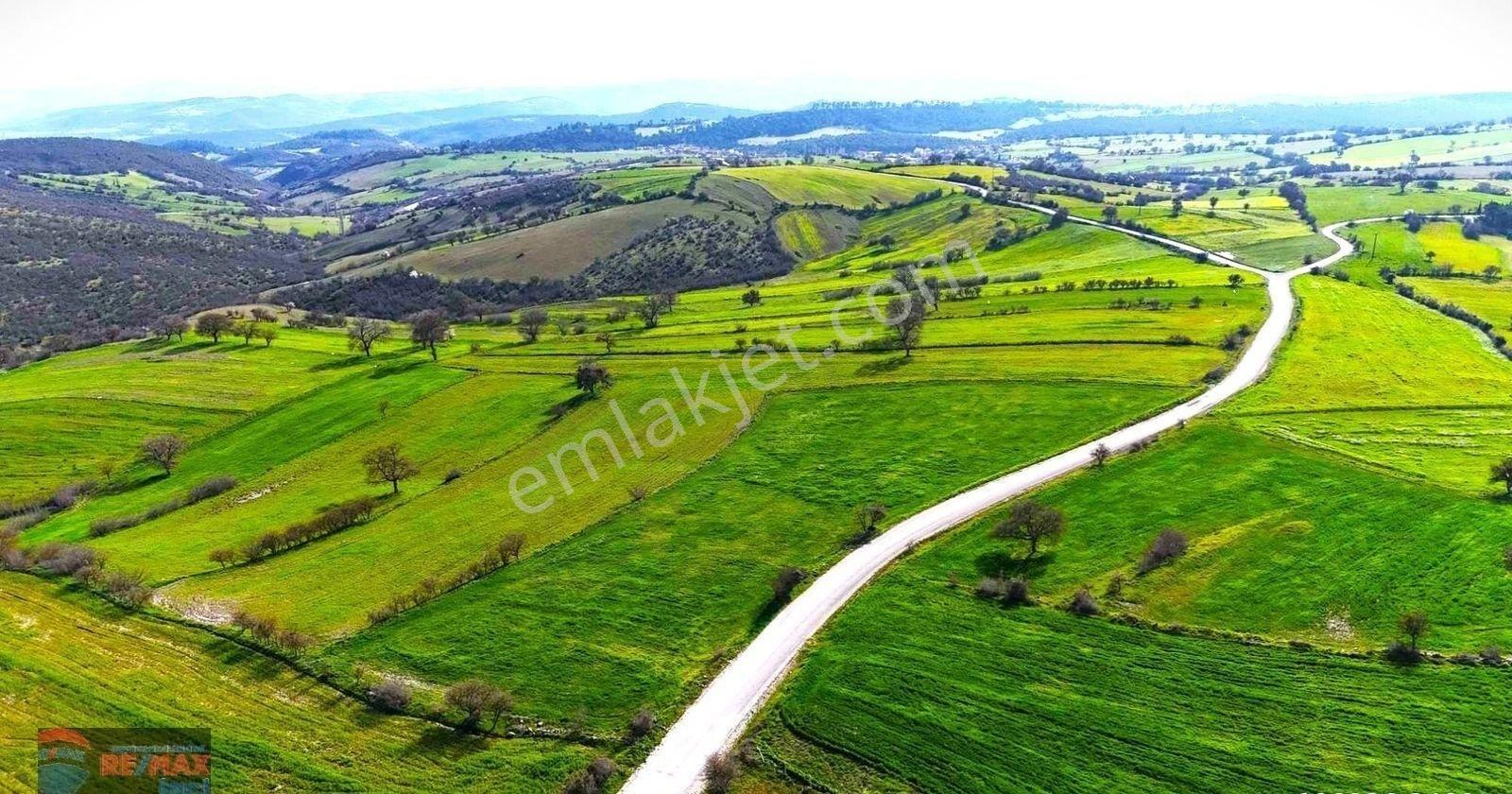 Re/max İnci'den Altıeylül Aynaoğlu Mah. Satılık 9.800m² Tarla - Görsel 10
