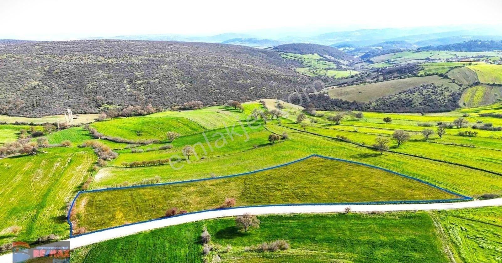 Re/max İnci'den Altıeylül Aynaoğlu Mah. Satılık 9.800m² Tarla - Görsel 38