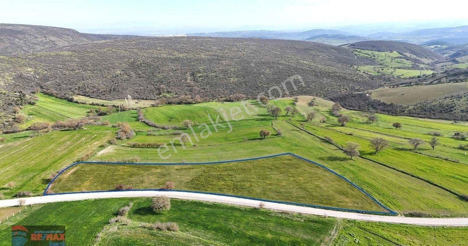Re/max İnci'den Altıeylül Aynaoğlu Mah. Satılık 9.800m² Tarla - Görsel 17