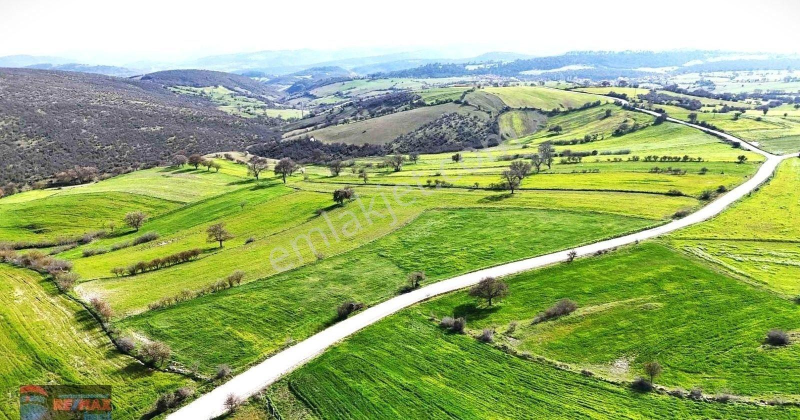 Re/max İnci'den Altıeylül Aynaoğlu Mah. Satılık 9.800m² Tarla - Görsel 11