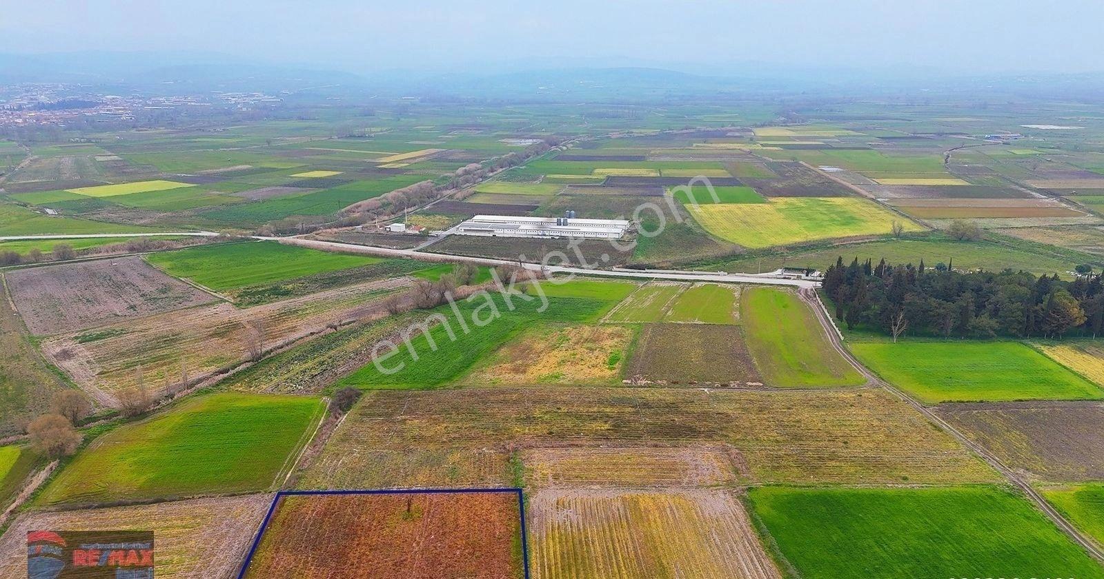 Re/max İnci'den Altıeylül Çandır Mah. Satılık 3.250 M² Tarla - Görsel 17