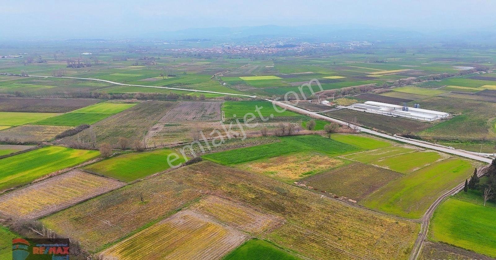 Re/max İnci'den Altıeylül Çandır Mah. Satılık 3.250 M² Tarla - Görsel 15