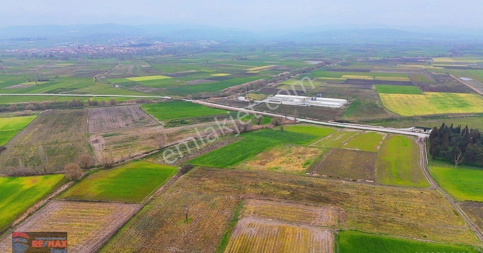 Re/max İnci'den Altıeylül Çandır Mah. Satılık 3.250 M² Tarla - Görsel 33