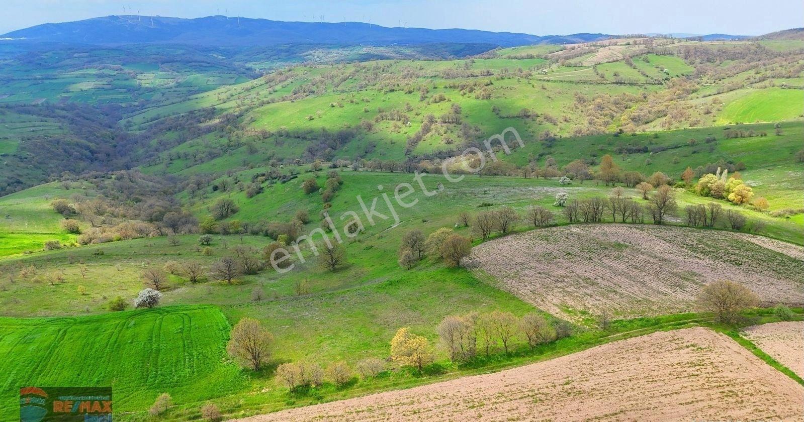 Re/max İnci'den Karesi Yaylabayır Mah. Satılık 4.600m² Tarla - Görsel 37