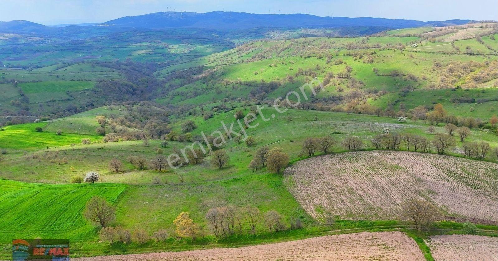 Re/max İnci'den Karesi Yaylabayır Mah. Satılık 4.600m² Tarla - Görsel 33