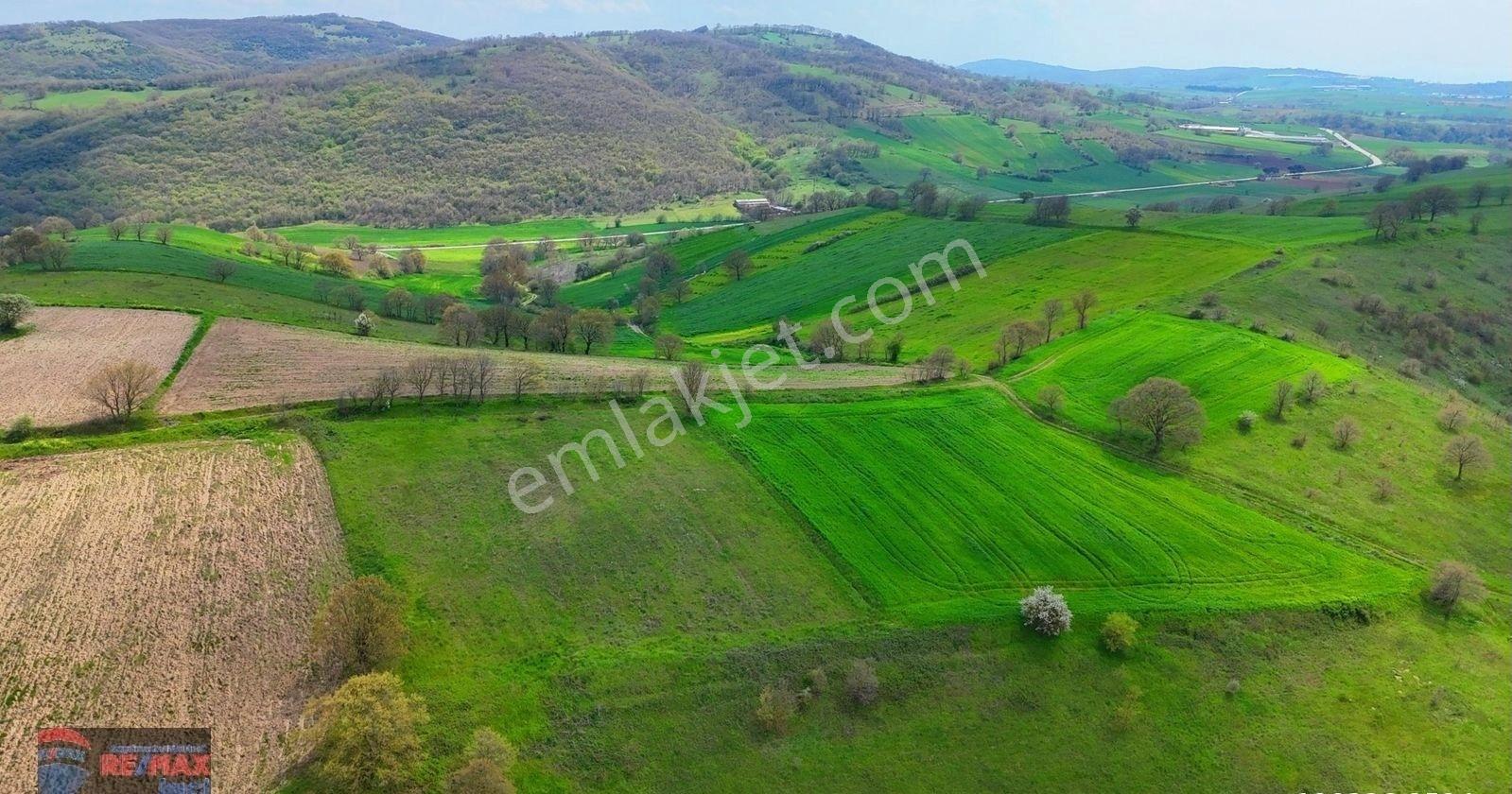 Re/max İnci'den Karesi Yaylabayır Mah. Satılık 4.600m² Tarla - Görsel 7
