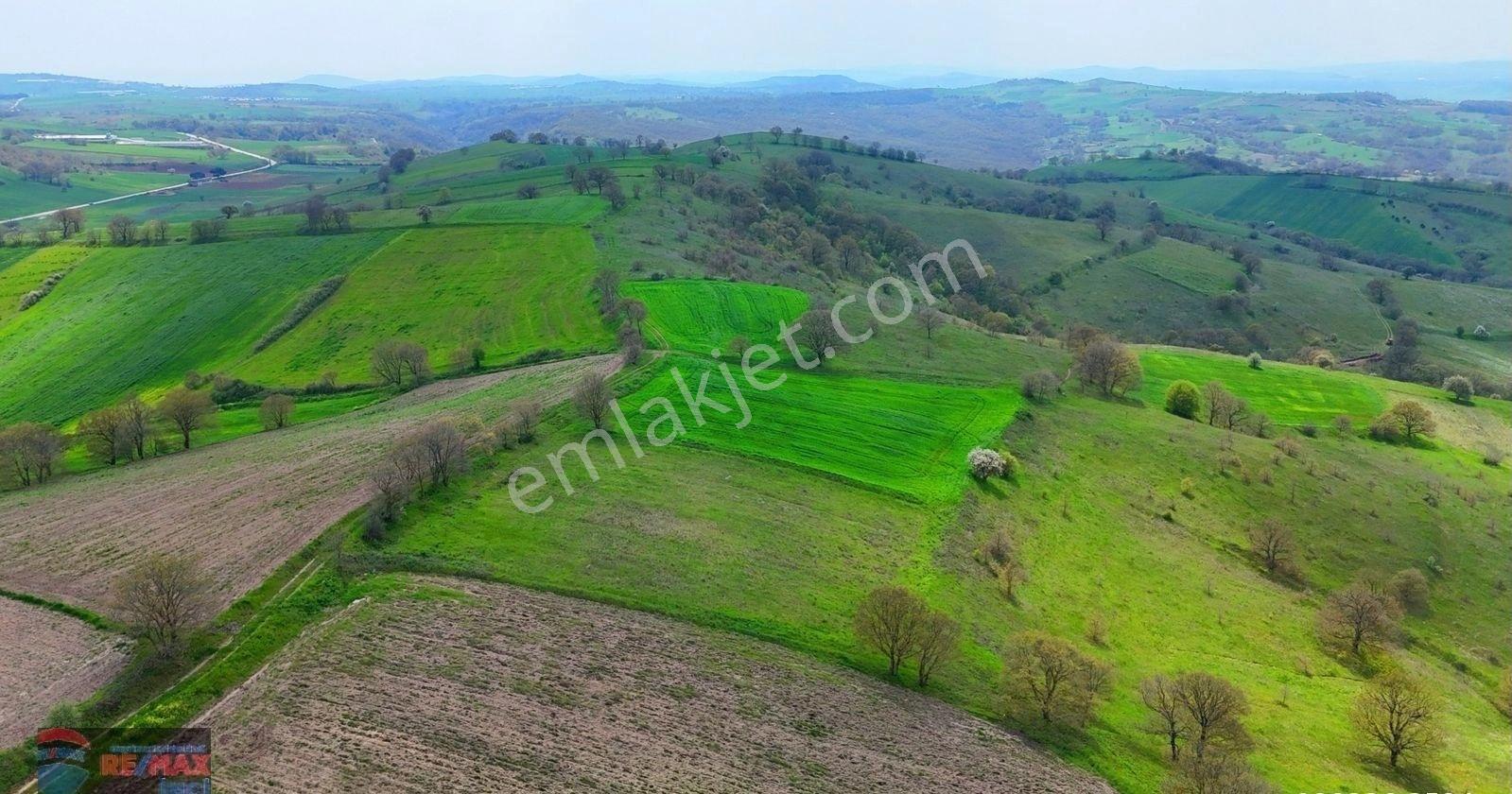 Re/max İnci'den Karesi Yaylabayır Mah. Satılık 4.600m² Tarla - Görsel 3