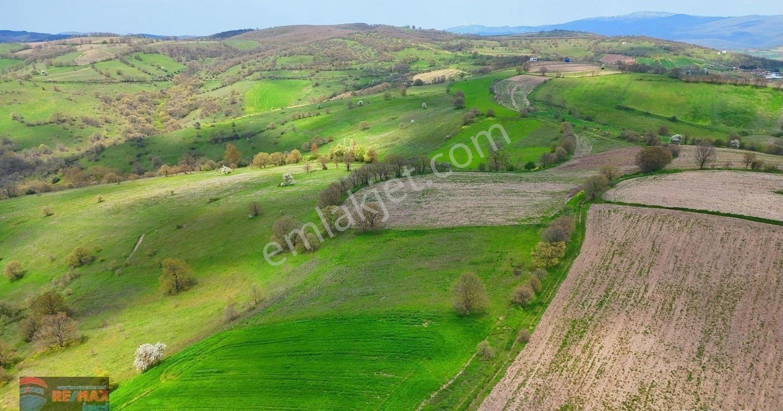 Re/max İnci'den Karesi Yaylabayır Mah. Satılık 4.600m² Tarla - Görsel 8