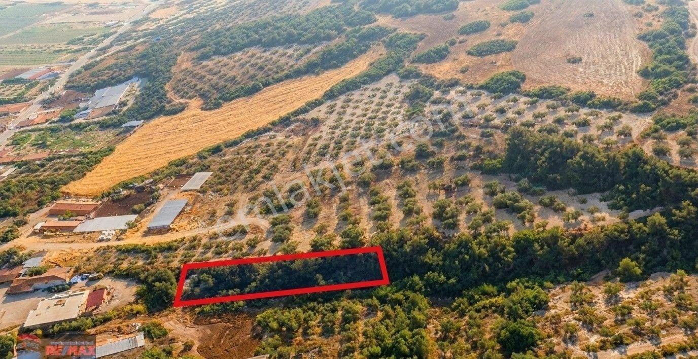 Re/max İnci'den Bigadiç Çekirdekli Mah. Satılık 590 M2 Tarla - Görsel 20