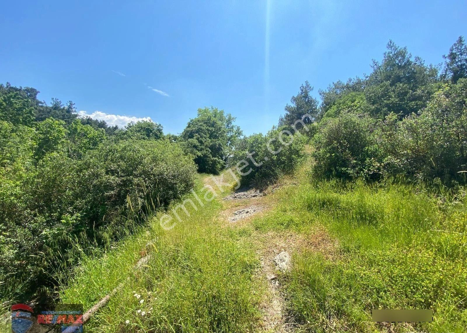 Re/max İnci'den Savaştepe İstiklal Mah. 6.614 M2 Satılık Tarla - Görsel 24