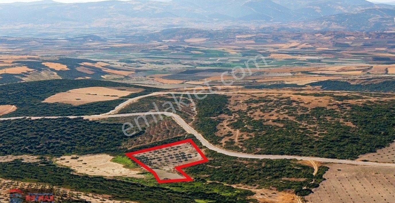 Re/max İnci'den Savaştepe İstiklal Mah. 6.614 M2 Satılık Tarla - Görsel 46