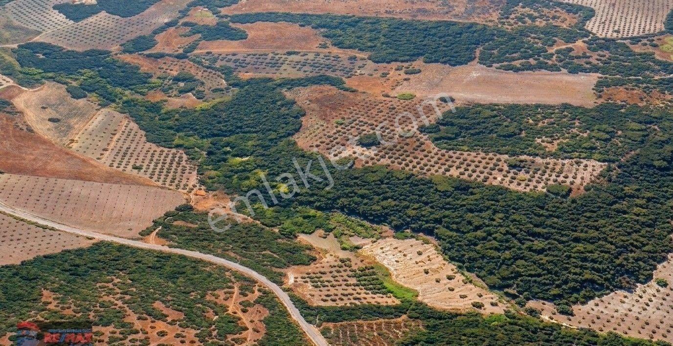 Re/max İnci'den Savaştepe İstiklal Mah. 6.614 M2 Satılık Tarla - Görsel 18
