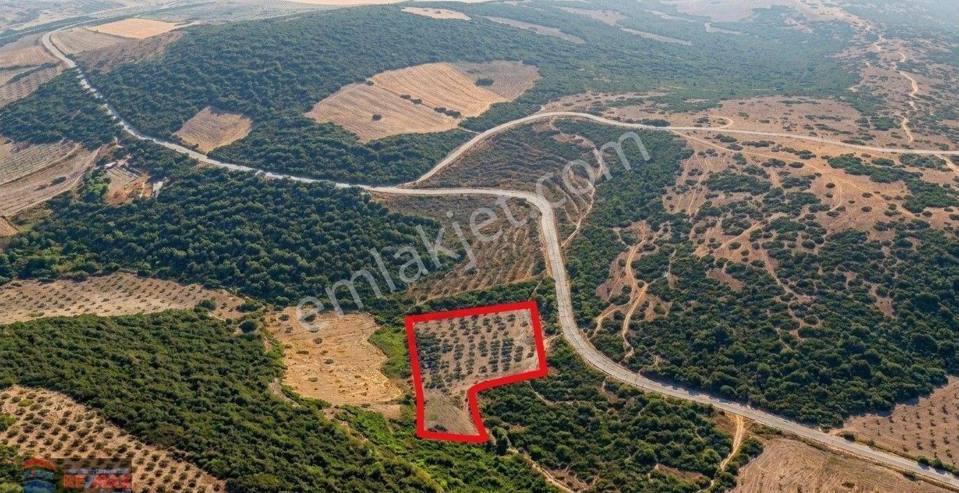 Re/max İnci'den Savaştepe İstiklal Mah. 6.614 M2 Satılık Tarla - Görsel 3