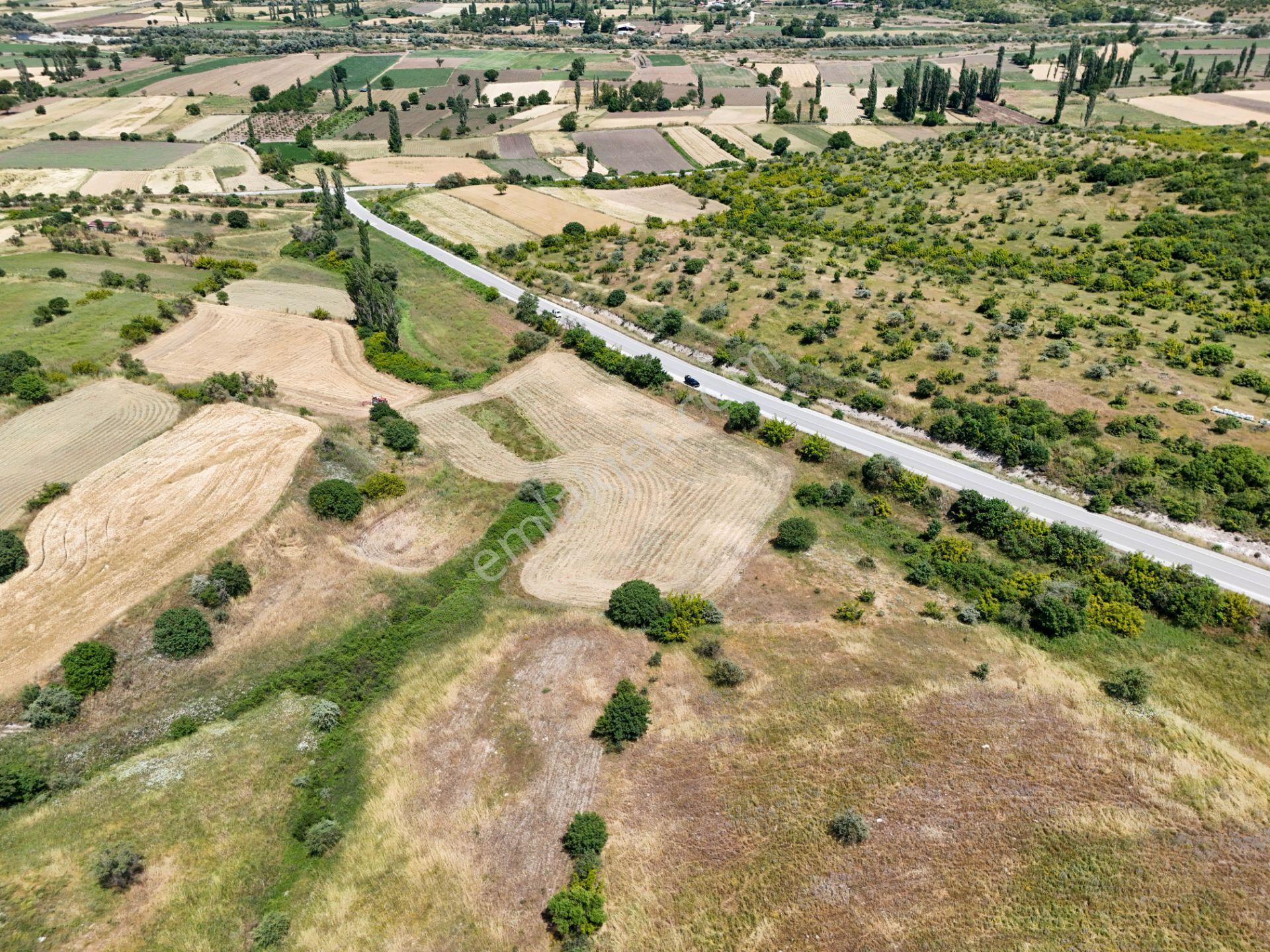 Era Söz Den Kepsut Şeremetlerde 11400 M² Satılık Tarla - Görsel 6