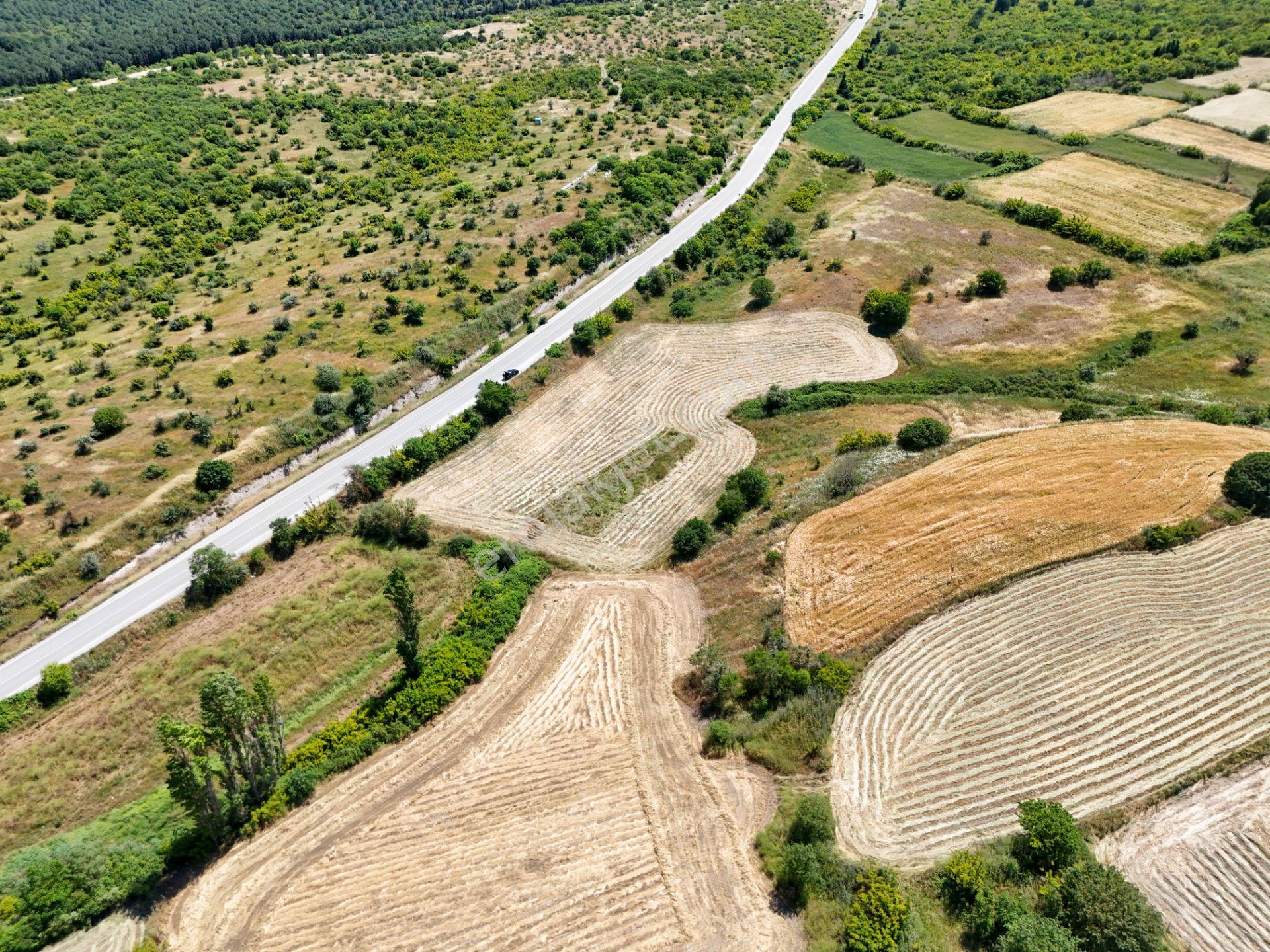 Era Söz Den Kepsut Şeremetlerde 11400 M² Satılık Tarla - Görsel 7