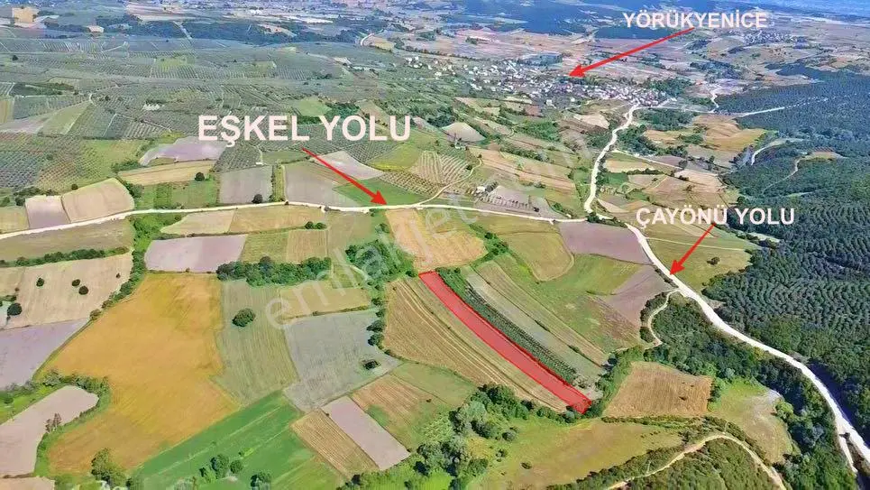 İdenova'dan Mudanya Yörükyenice'sinde 5 Dönüm Yatırımlık Tarla