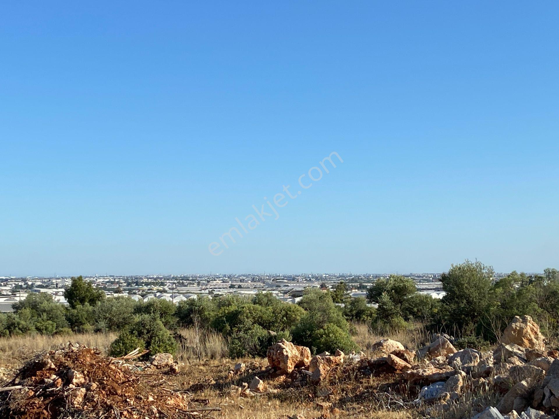 Köşe Parselde 2 Cephesi Açık Park Cepheli Yatırımlık Arsa - Görsel 21
