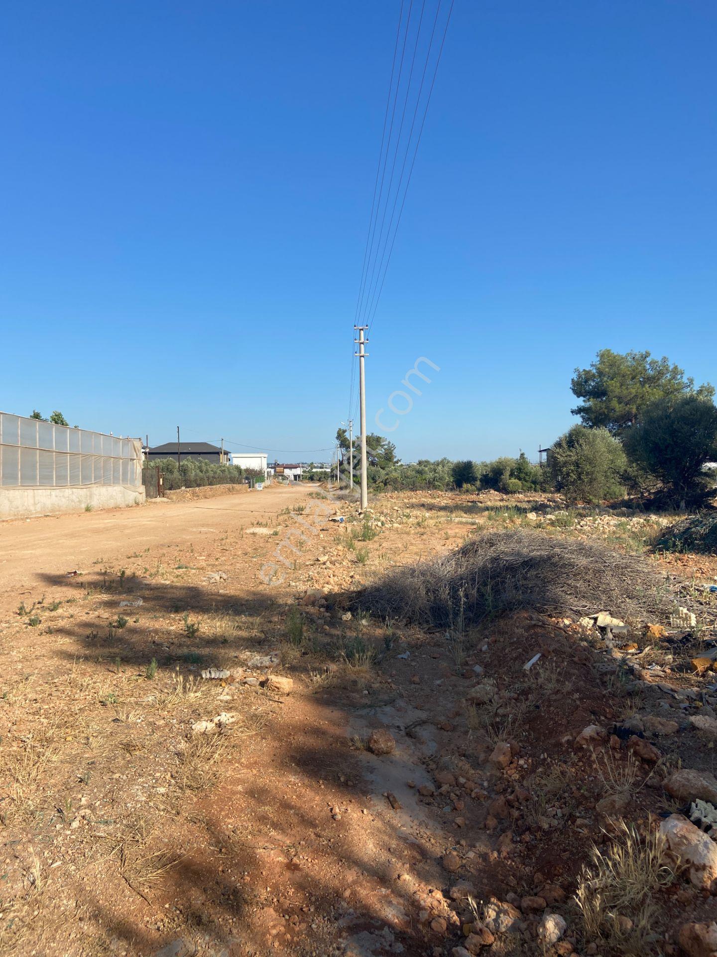 Köşe Parselde 2 Cephesi Açık Park Cepheli Yatırımlık Arsa - Görsel 12