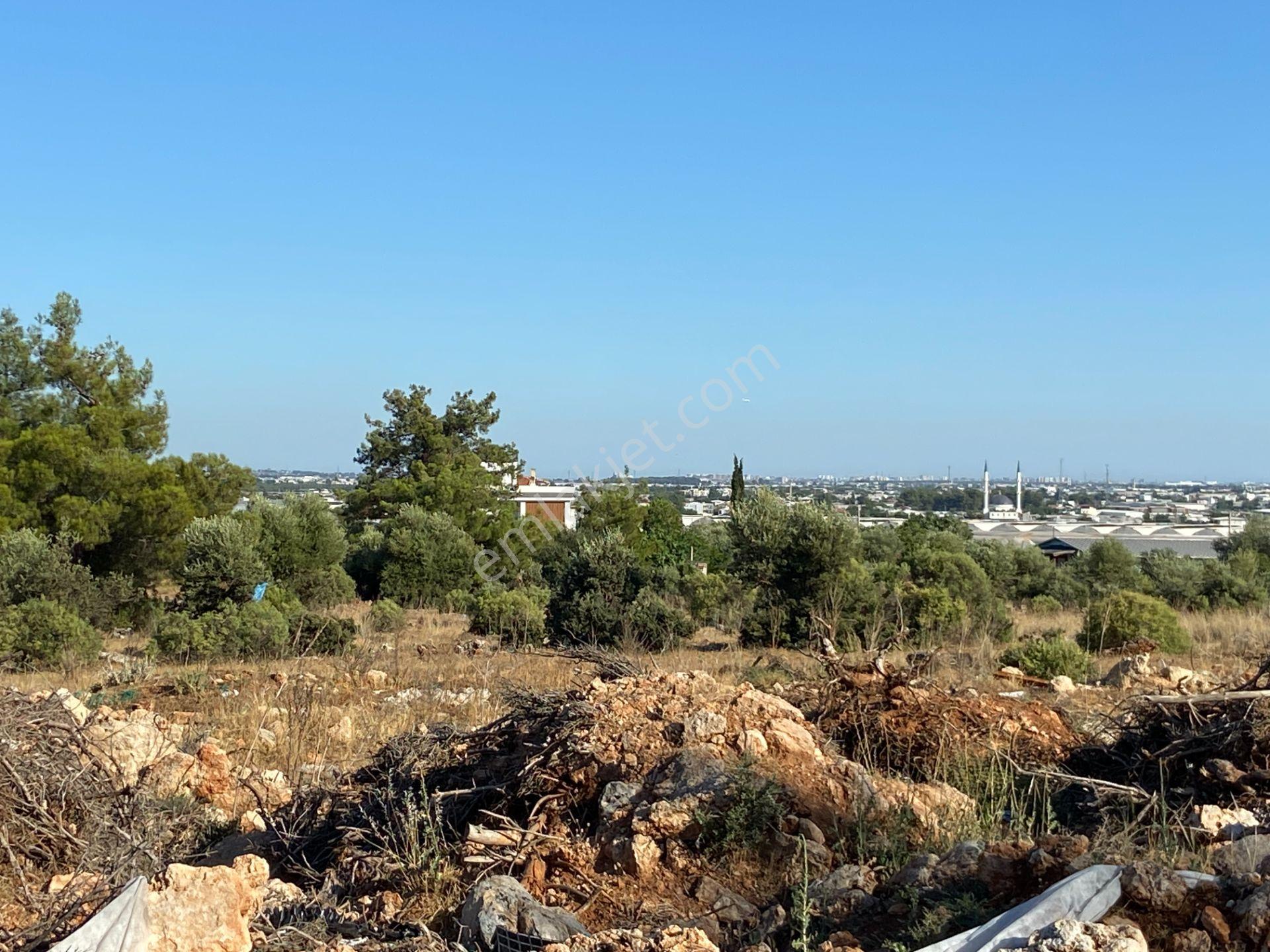 Köşe Parselde 2 Cephesi Açık Park Cepheli Yatırımlık Arsa - Görsel 19