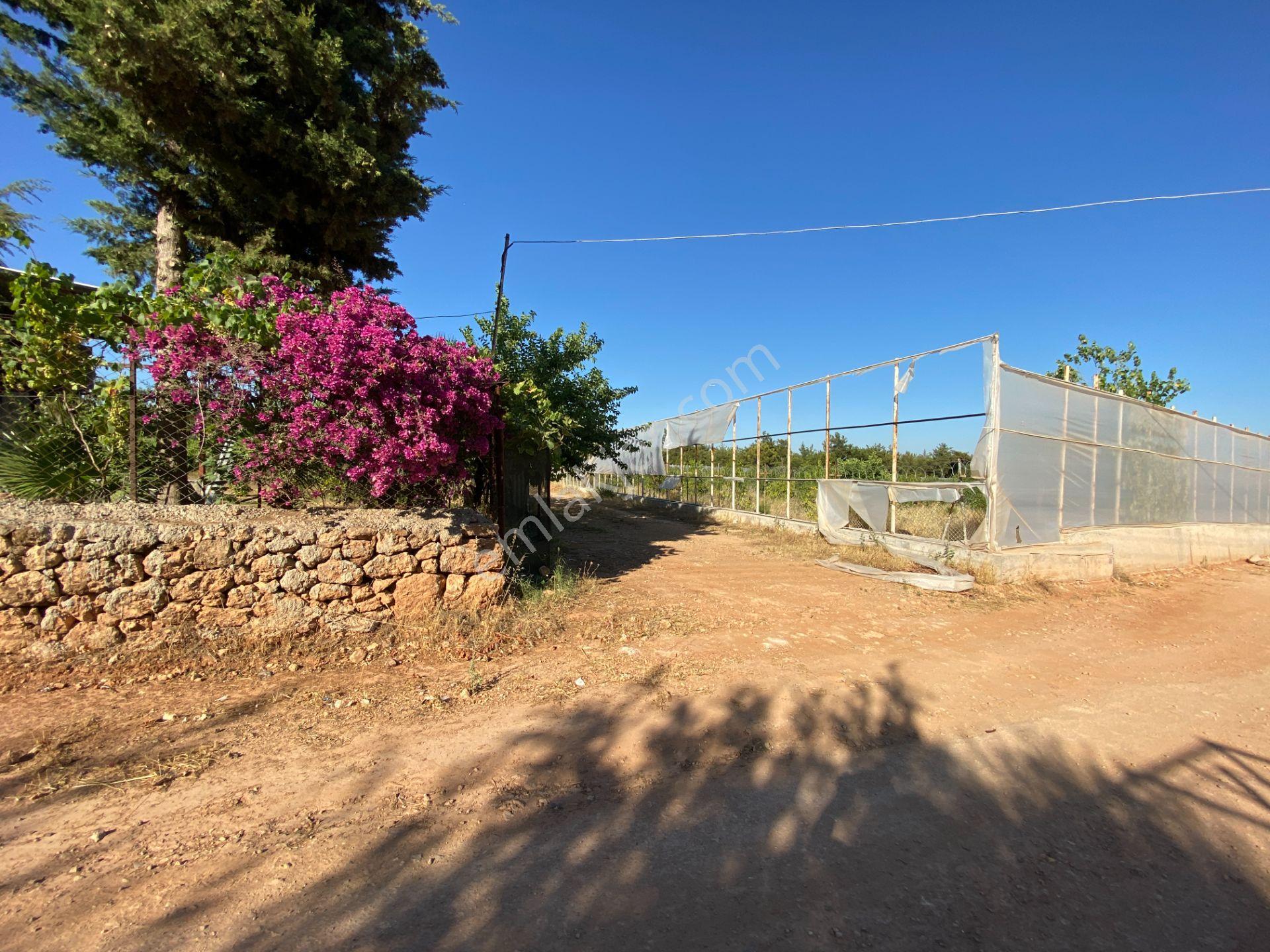 Köşe Parselde 2 Cephesi Açık Park Cepheli Yatırımlık Arsa - Görsel 7