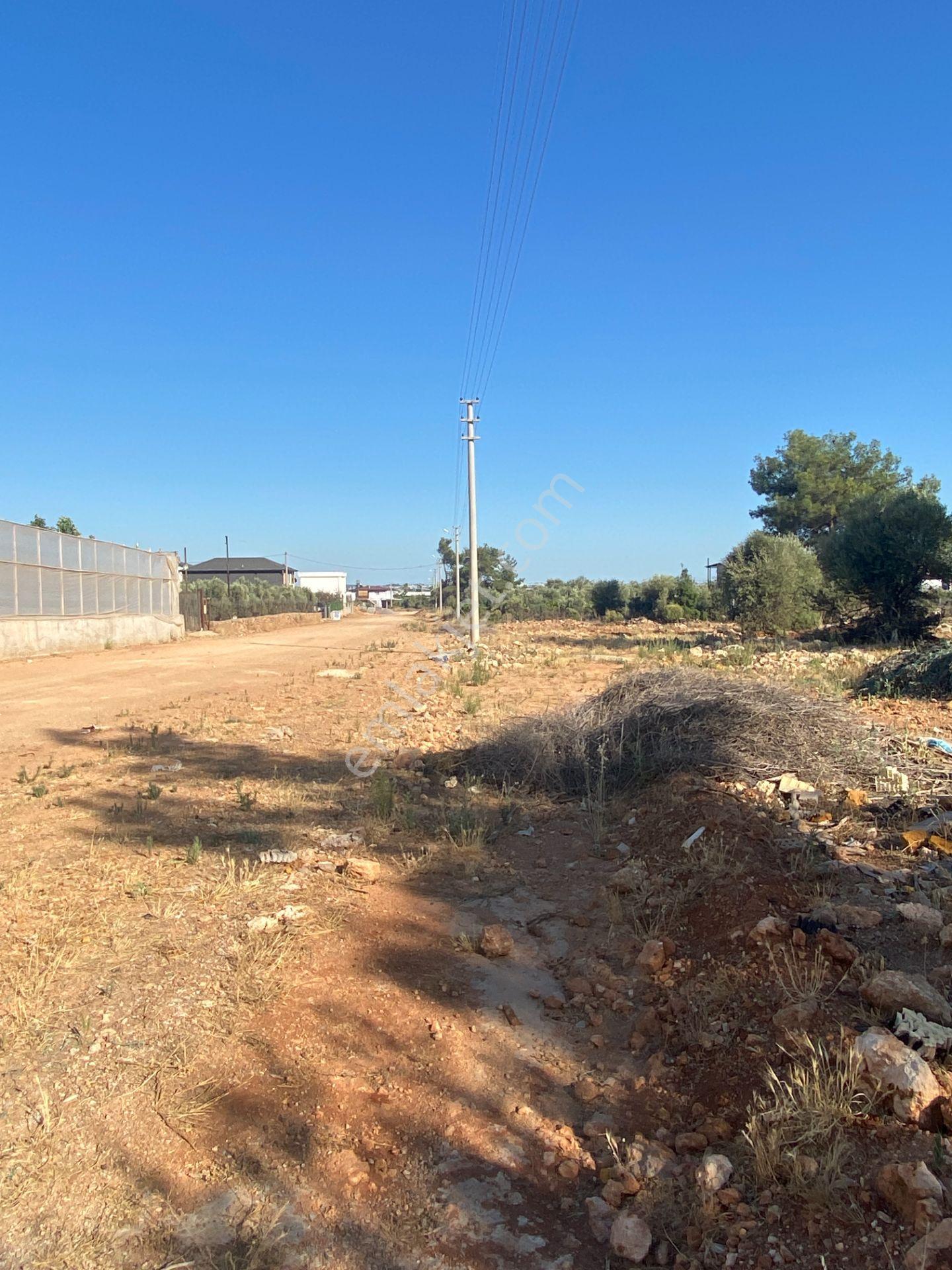 Köşe Parselde 2 Cephesi Açık Park Cepheli Yatırımlık Arsa - Görsel 13