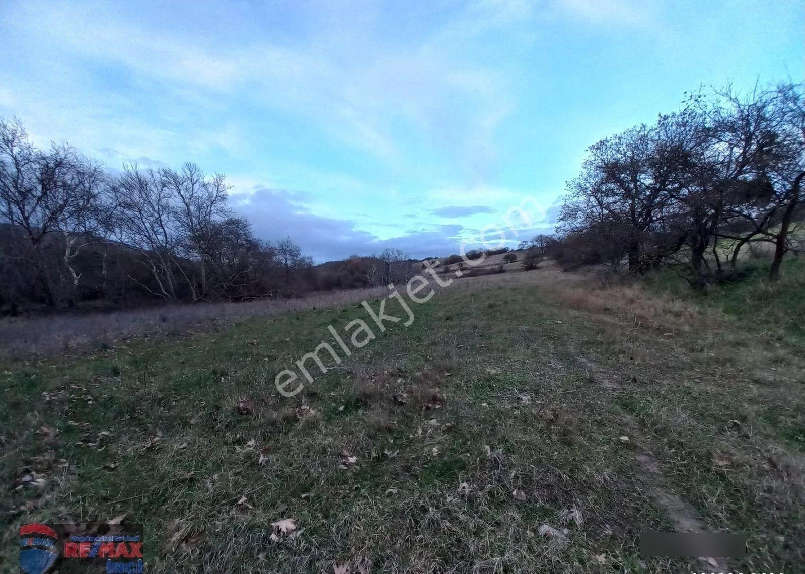 Re/max İnci'den Yeniköy Mah. 4.115 M2 Satılık Tarla - Görsel 5