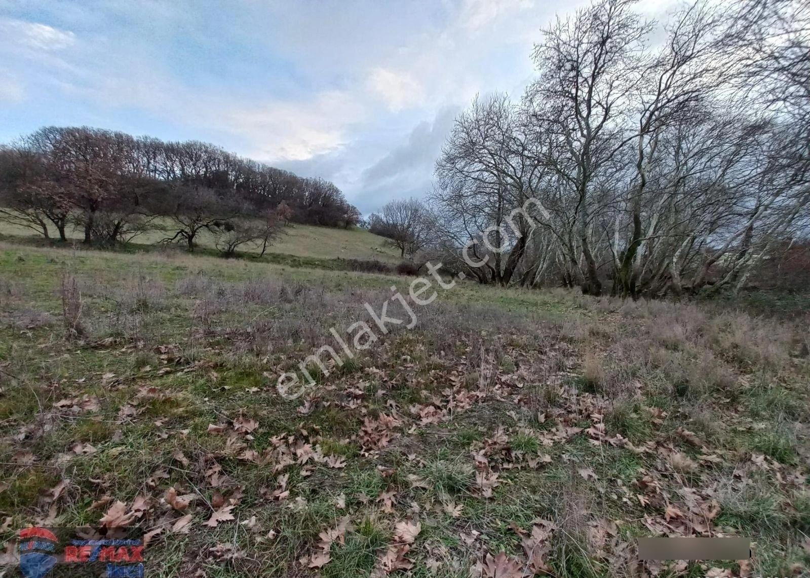 Re/max İnci'den Yeniköy Mah. 4.115 M2 Satılık Tarla - Görsel 12