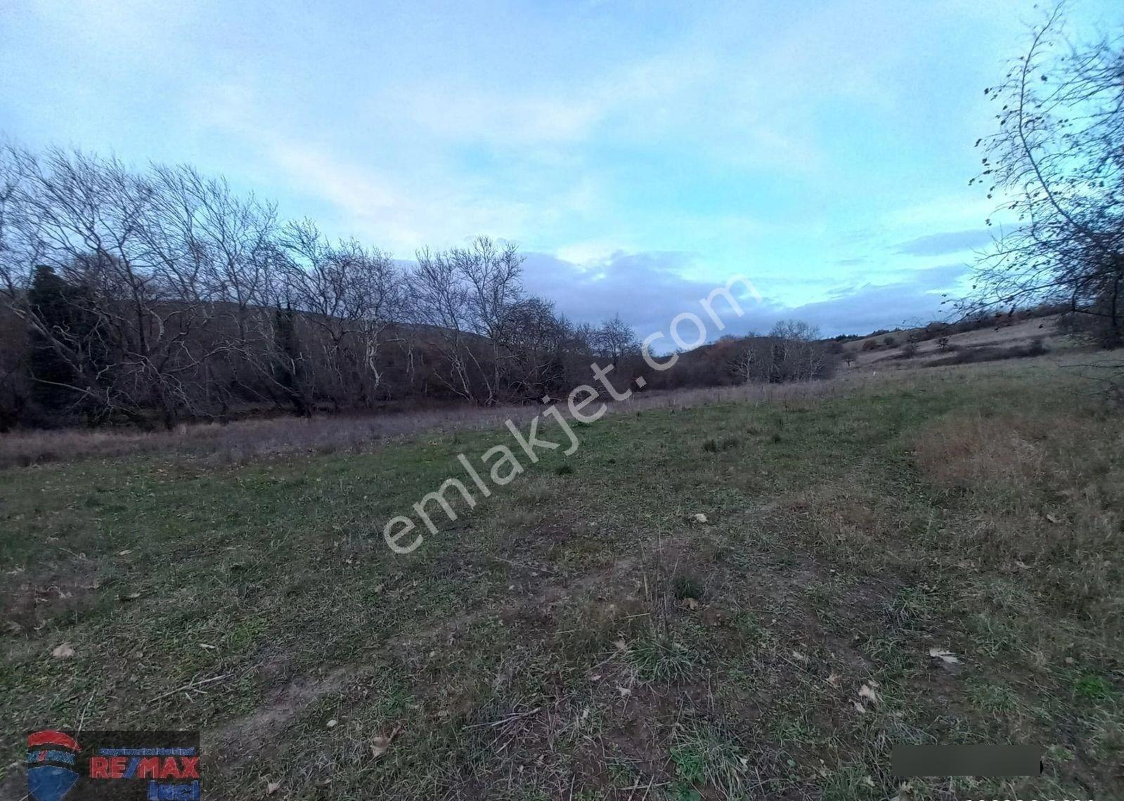 Re/max İnci'den Yeniköy Mah. 4.115 M2 Satılık Tarla - Görsel 35