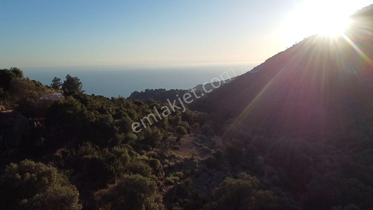 Seydikemer Dodurga Mahallesinde Eşsiz Deniz Manzaralı Arazi - Görsel 25
