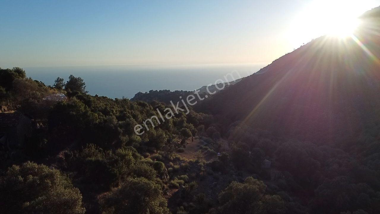 Seydikemer Dodurga Mahallesinde Eşsiz Deniz Manzaralı Arazi - Görsel 26