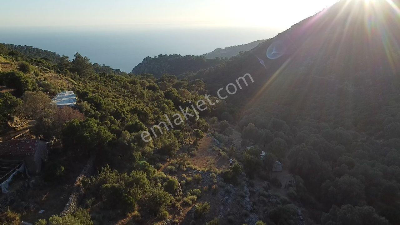 Seydikemer Dodurga Mahallesinde Eşsiz Deniz Manzaralı Arazi - Görsel 16