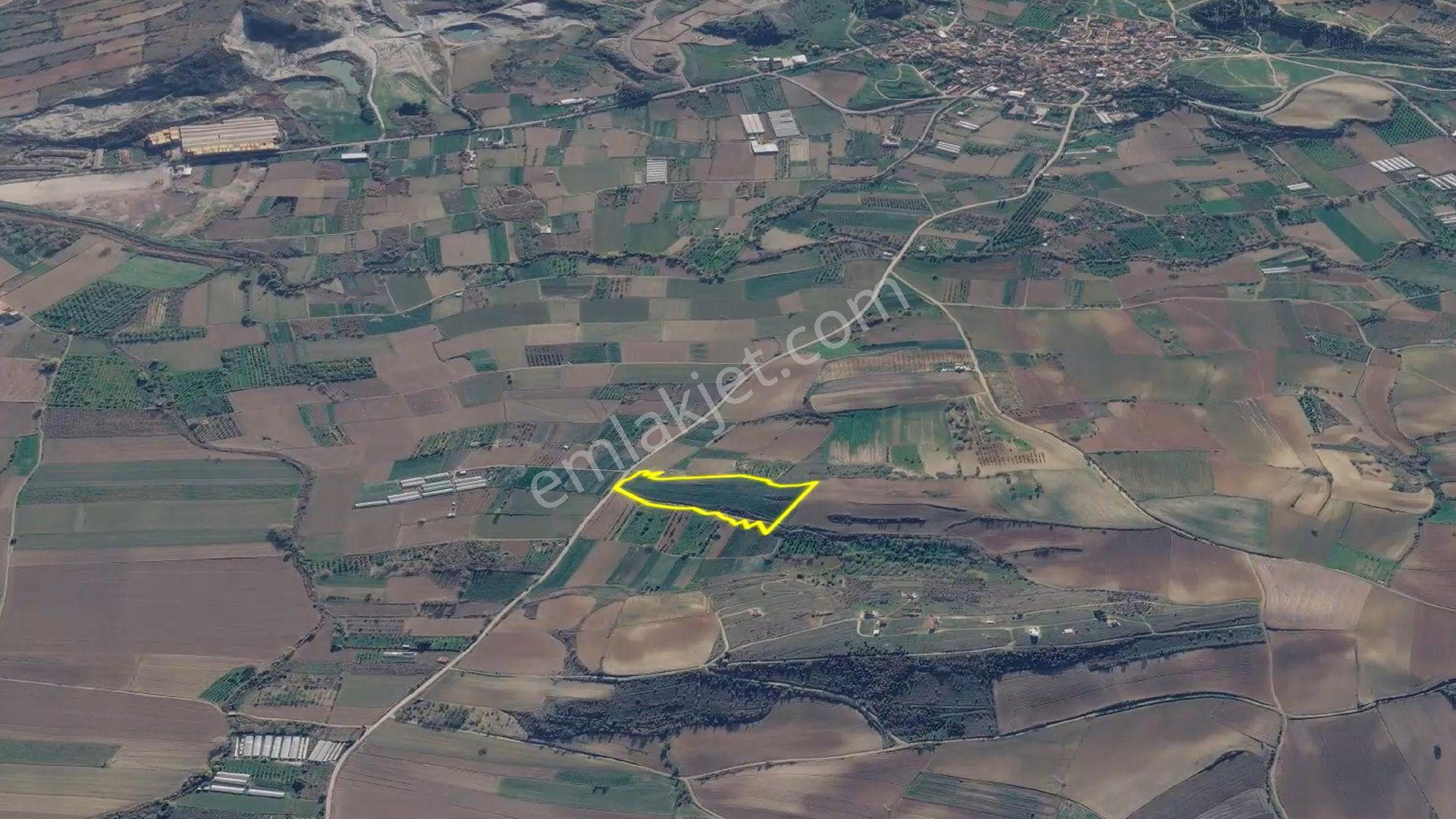 Kirazın En Kaliteli Yetiştiği Böldede Geleceğin Kiraz Bahçesini Kur Yatır - Görsel 21