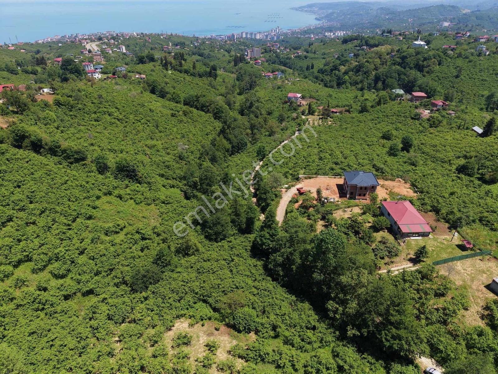 Vip Real Estateden Kavalada 1.600 M2 Fırsat Arsa - Görsel 7