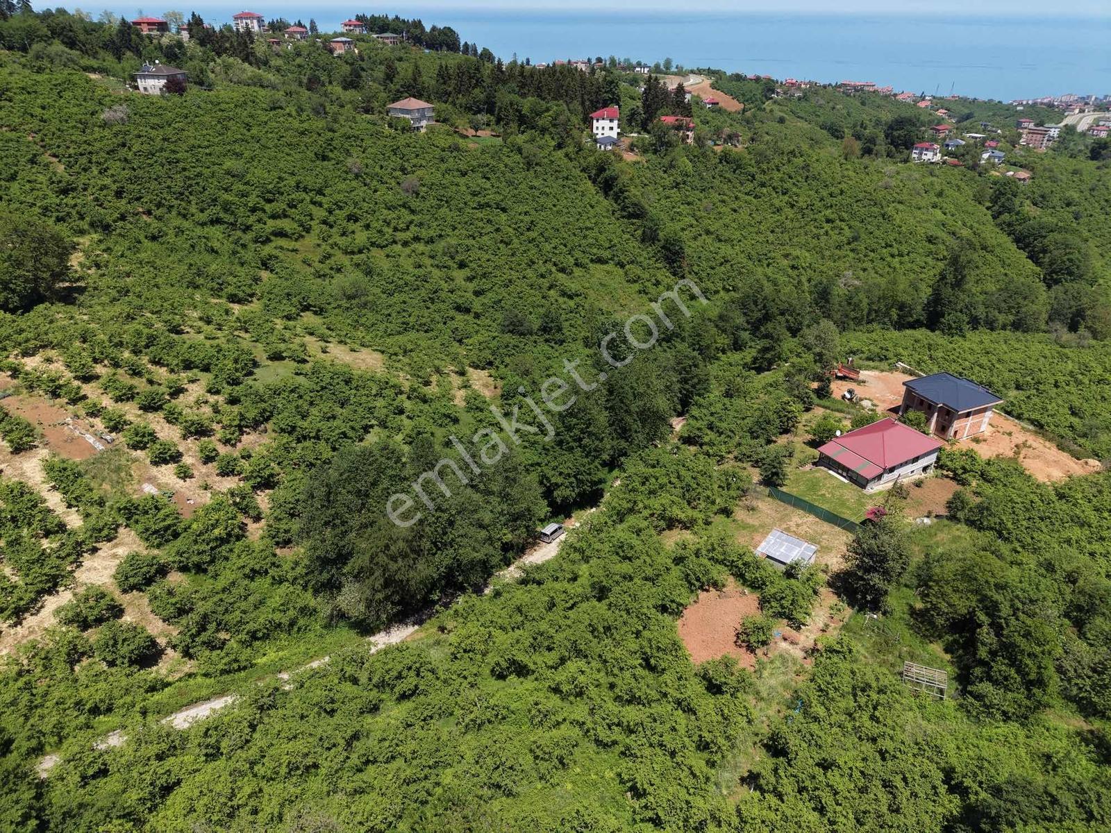Vip Real Estateden Kavalada 1.600 M2 Fırsat Arsa - Görsel 21