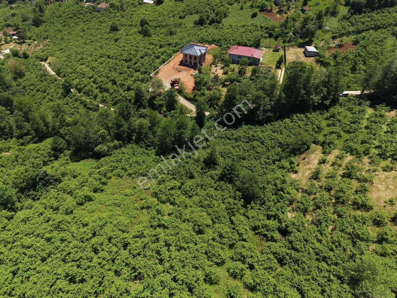 Vip Real Estateden Kavalada 1.600 M2 Fırsat Arsa - Görsel 13